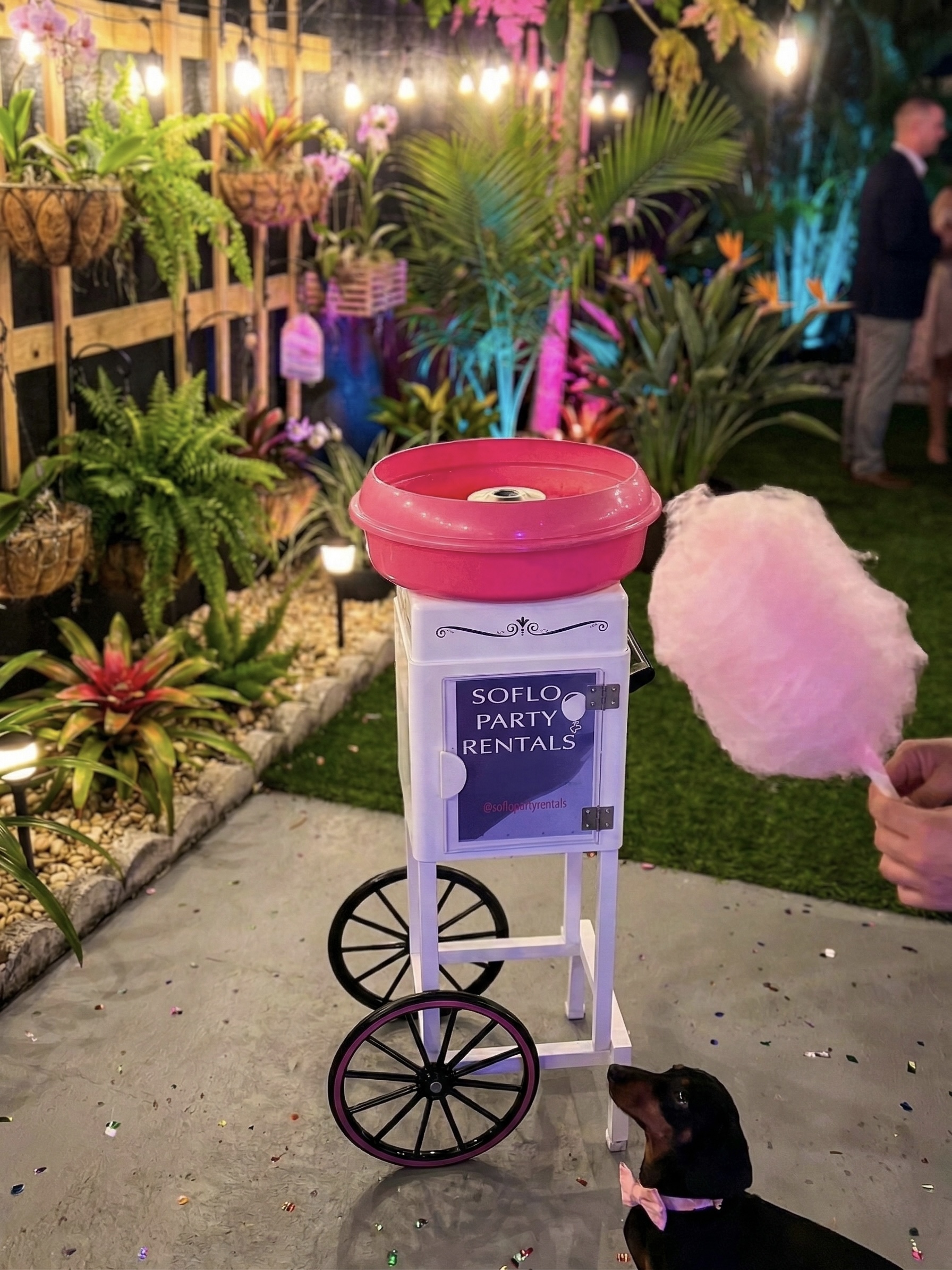 Cotton candy machine spinning pink cotton candy